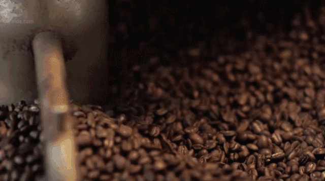 口袋里的咖啡小立方,3秒喝到手冲的味道