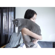 张琦