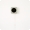 ladybird